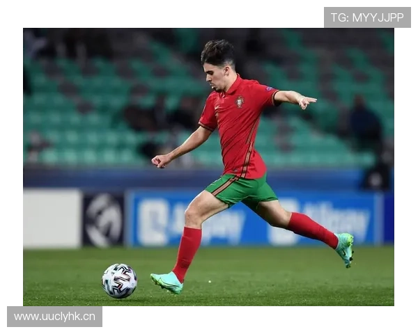 维蒂尼亚未来潜力评估：爆发可能性与关键节点分析